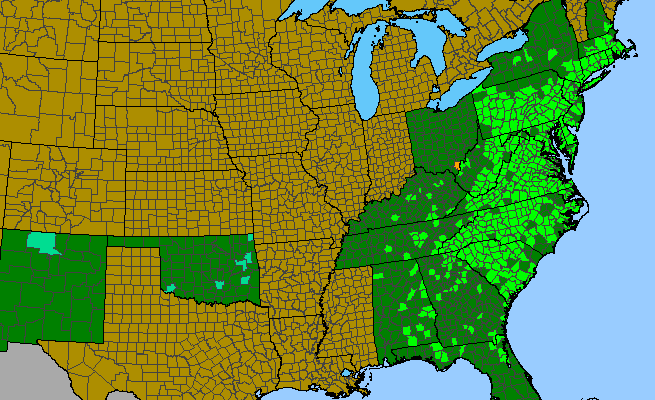 The range of Vernonia noveboracensis